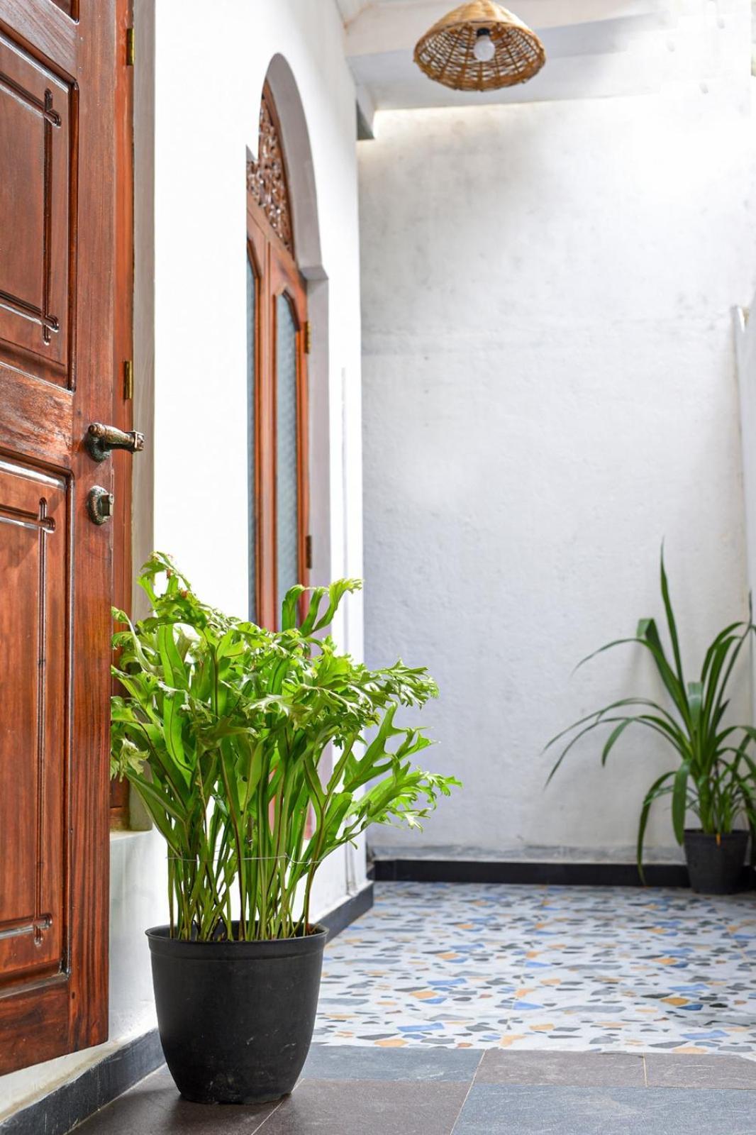 4Ty Two Homestay Galle Exterior foto