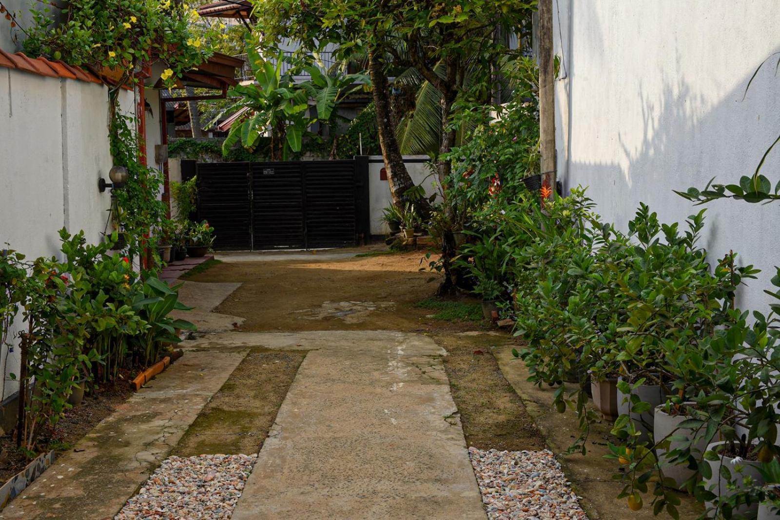 4Ty Two Homestay Galle Exterior foto